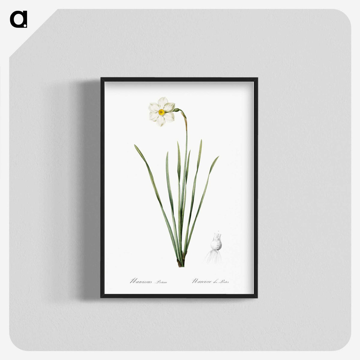 2-4_The-Lilies_blk-crop