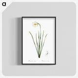 2-4_The-Lilies_blk-crop