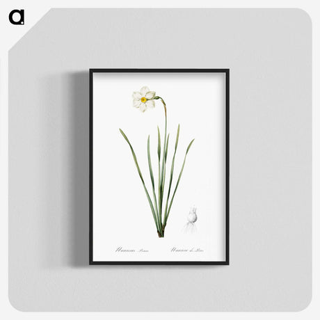 2-4_The-Lilies_blk-crop