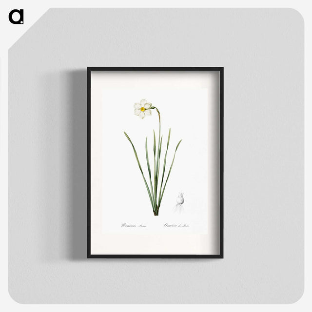 2-4_The-Lilies_blk