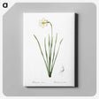 2-4_The-Lilies_canvas