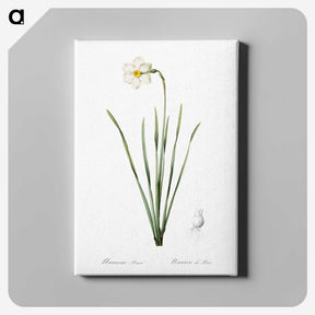 2-4_The-Lilies_canvas