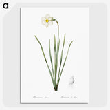 2-4_The-Lilies_picture-crop