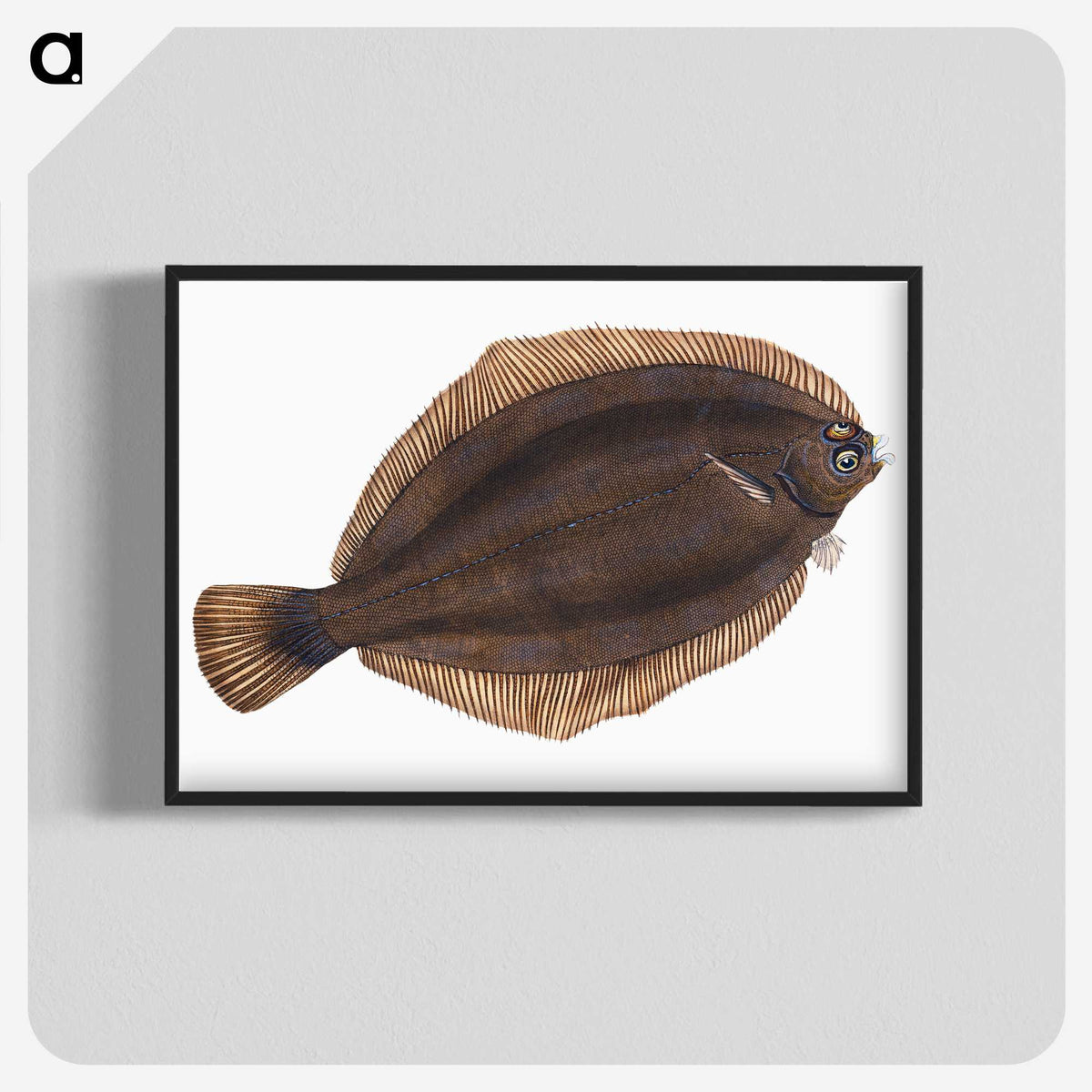 2-4_The-Natural-History-of-British-Fishes_blk-crop