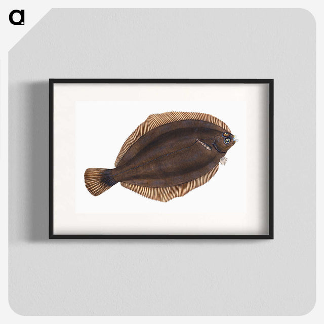 2-4_The-Natural-History-of-British-Fishes_blk