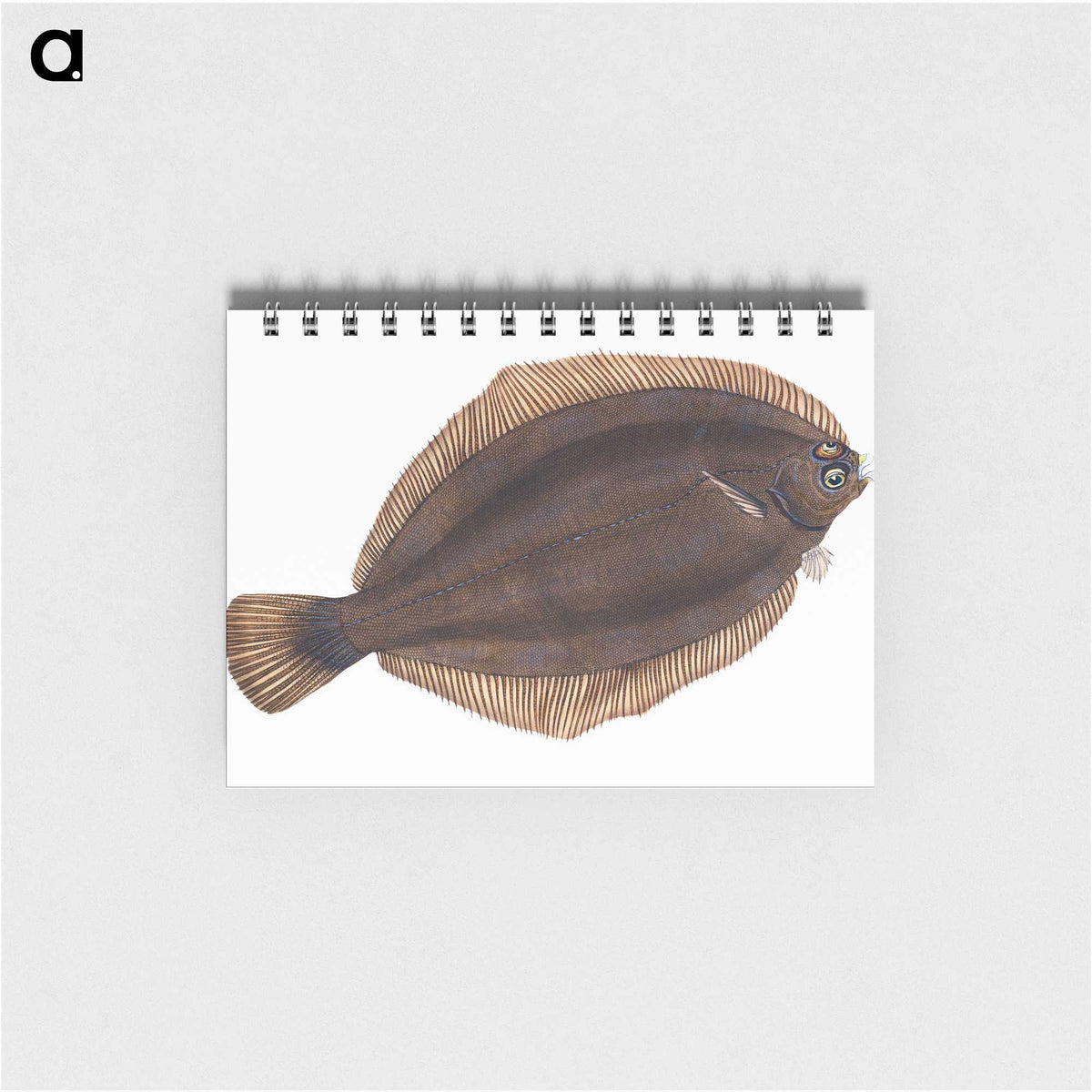 2-4_The-Natural-History-of-British-Fishes_memo