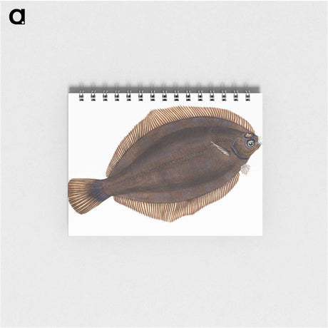 2-4_The-Natural-History-of-British-Fishes_memo