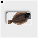 2-4_The-Natural-History-of-British-Fishes_phone