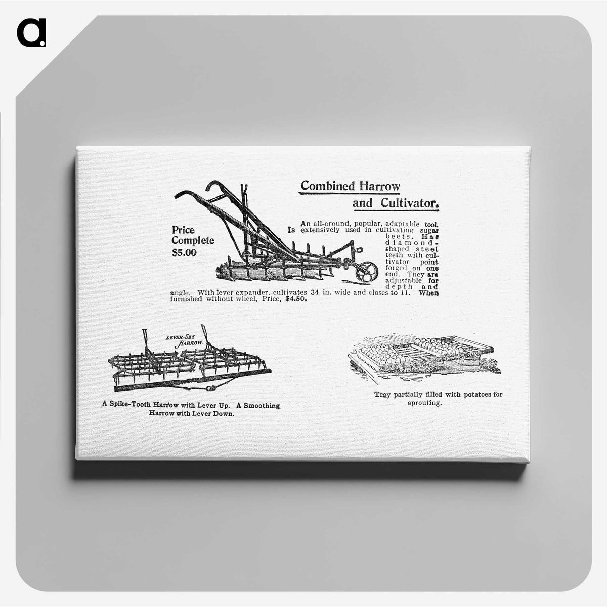 2-4_The-Open-Door-to-Independence_canvas