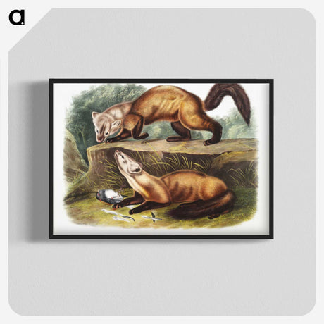 2-4_The-Viviparous-Quadrupeds_blk-crop
