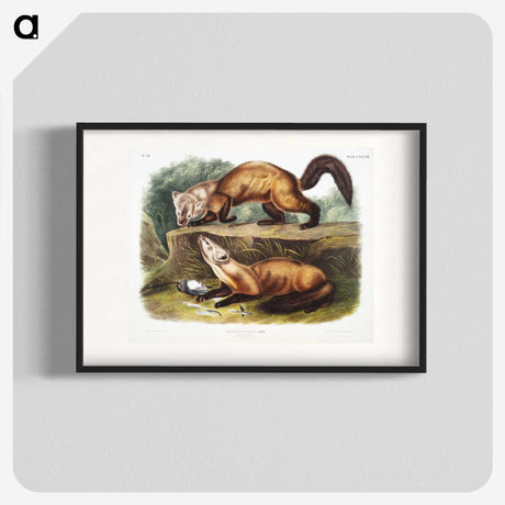 2-4_The-Viviparous-Quadrupeds_blk