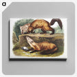 2-4_The-Viviparous-Quadrupeds_canvas