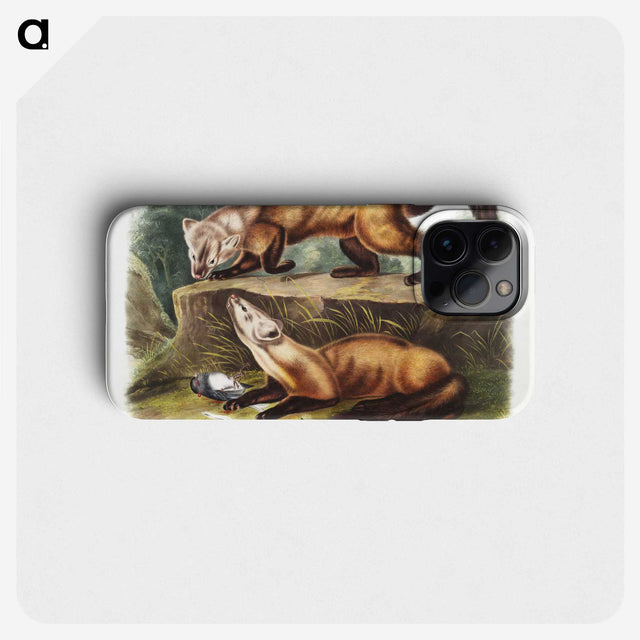 2-4_The-Viviparous-Quadrupeds_phone