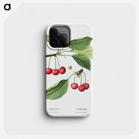 2-4_Treatise-on-Trees-and-Shrubs_phone