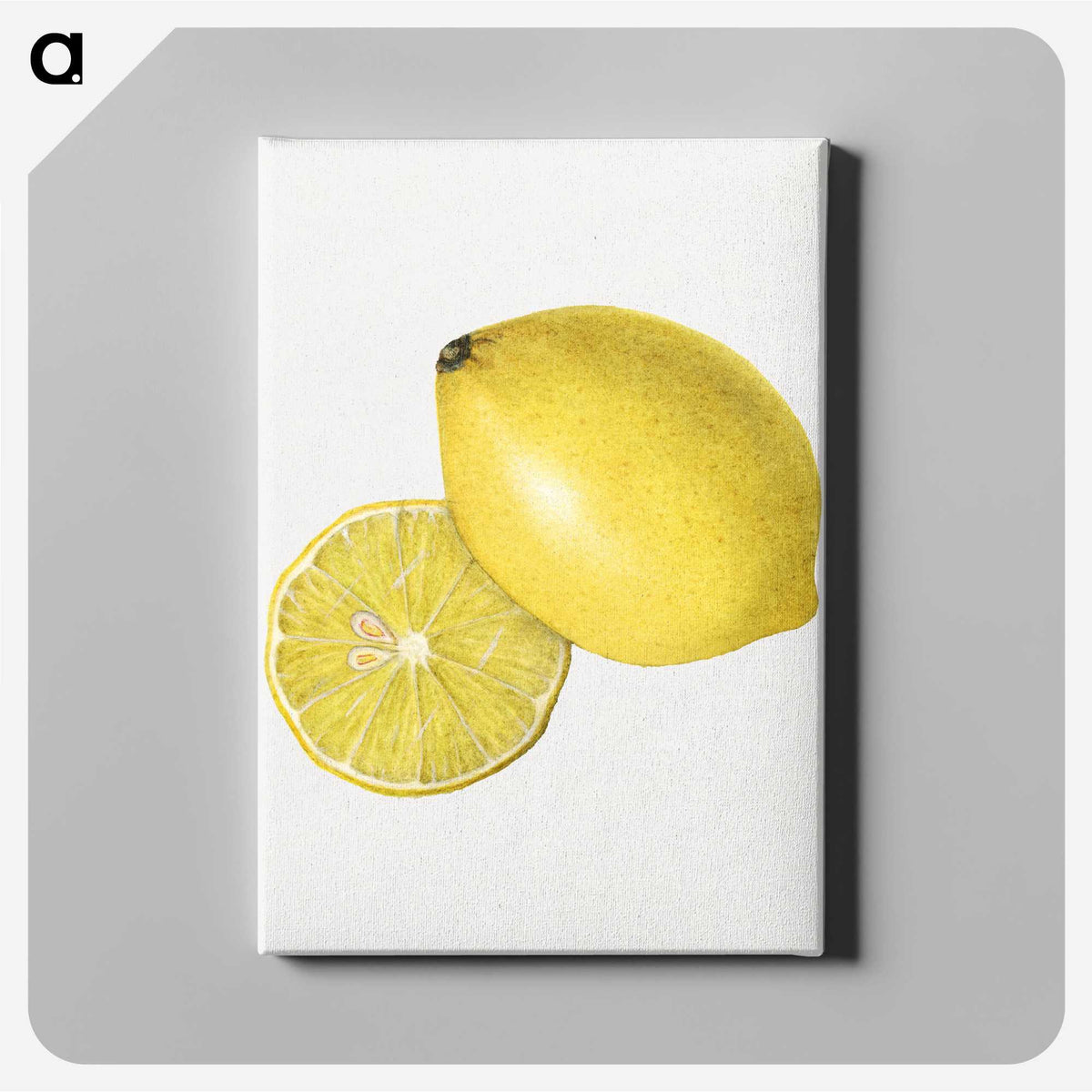 2-4_USDA-Watercolor-Fruit-Painting-Collection_canvas