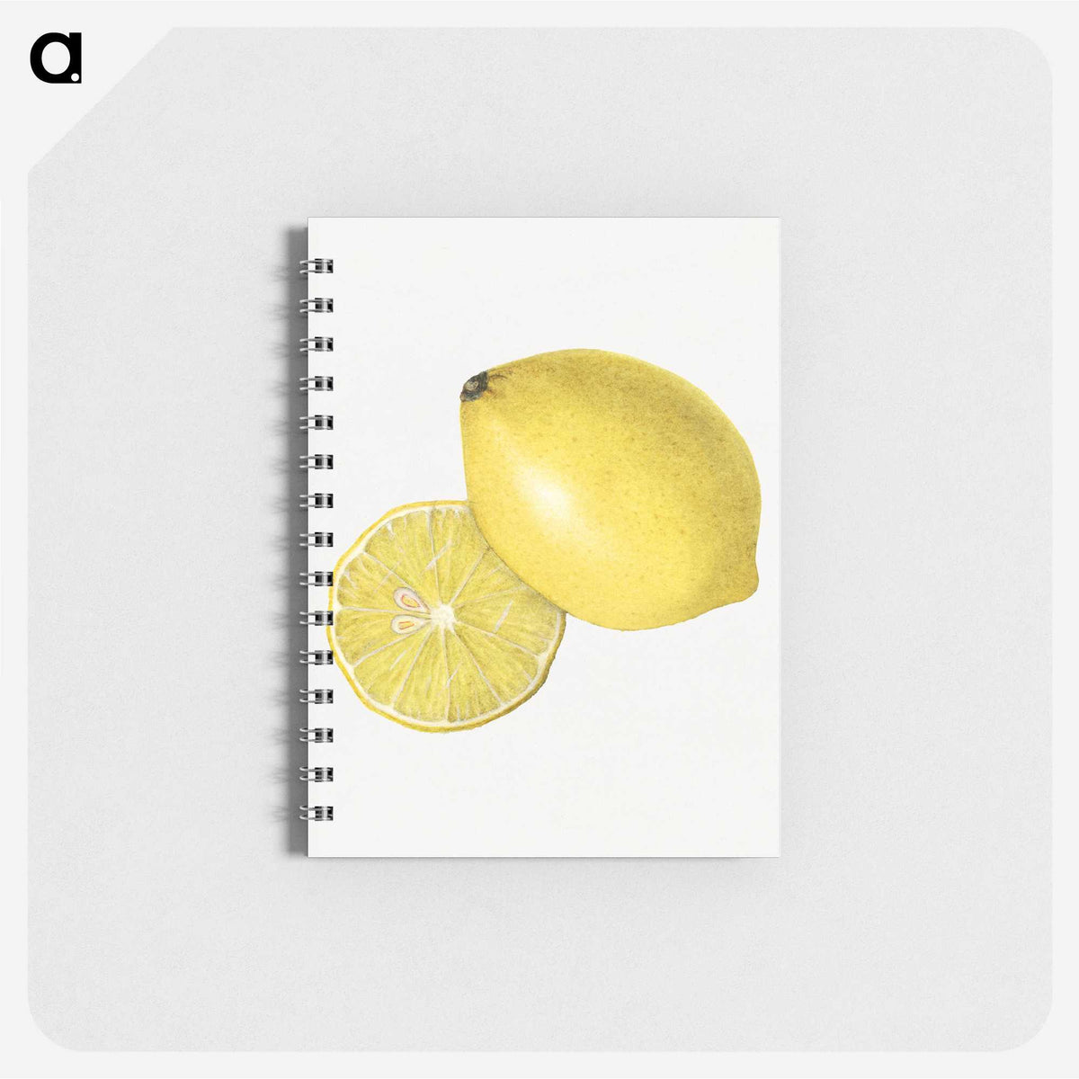 2-4_USDA-Watercolor-Fruit-Painting-Collection_memo