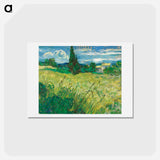 アートポストカード-Green Field - フィンセント ファン ゴッホ Postcard.