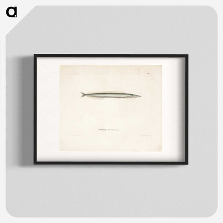 2-4_Wilhelm-von-Wright_blk
