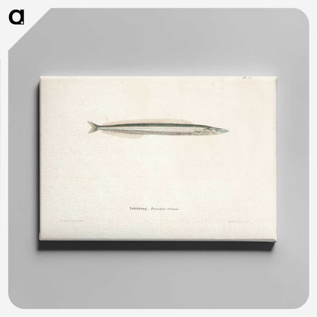 2-4_Wilhelm-von-Wright_canvas
