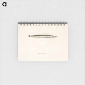 アートメモ帳-Small sandeel - ヴィルヘルム フォン ライト Memo.
