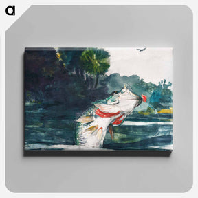アートパネル-Life-Size Black Bass - ウィンスロー ホーマー Canvas.