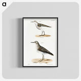 2-4_Zoology-of-New-York_blk-crop