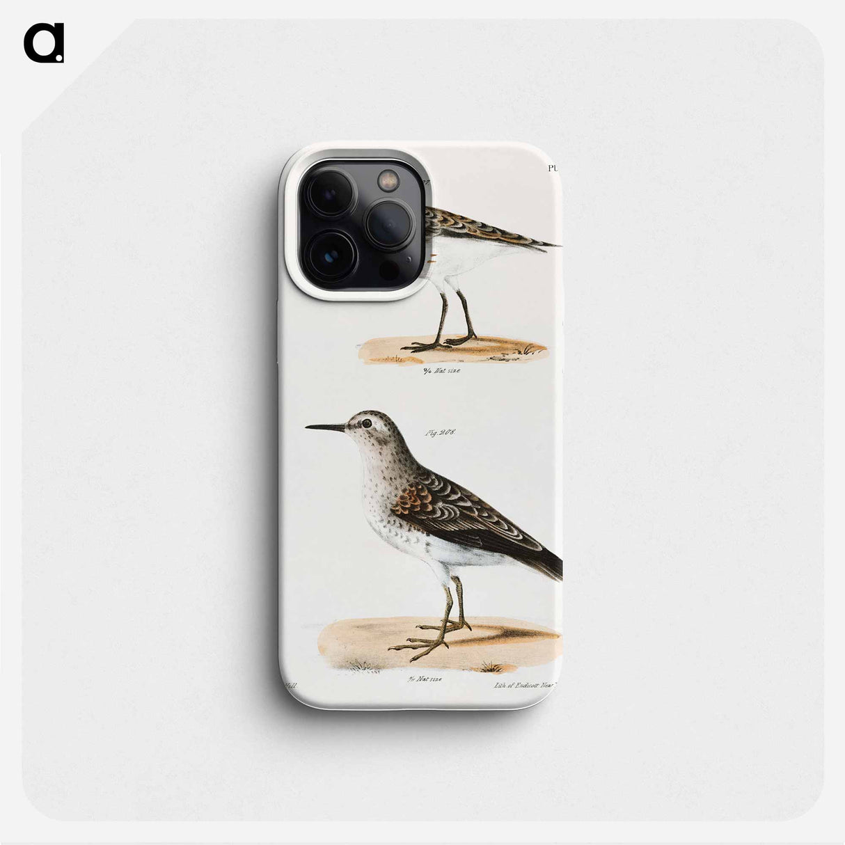 Wilson's Sandpiper - ニューヨークの動物学 Phone Case.