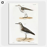 2-4_Zoology-of-New-York_picture-crop