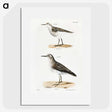 2-4_Zoology-of-New-York_picture