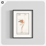 2-50_Anselmus-Boetius-de-Boodt_blk