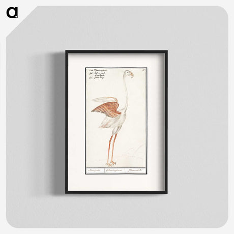 2-50_Anselmus-Boetius-de-Boodt_blk
