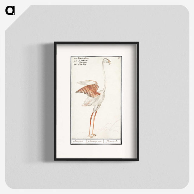 2-50_Anselmus-Boetius-de-Boodt_blk