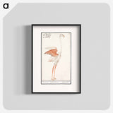 Common flamingo - アンセルムス ボエティウス デ ブート Poster.