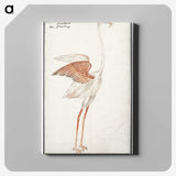 2-50_Anselmus-Boetius-de-Boodt_canvas