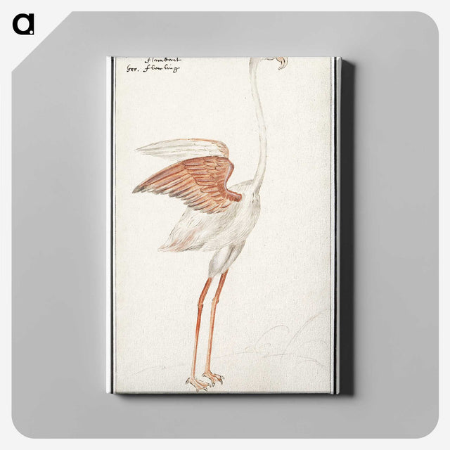 2-50_Anselmus-Boetius-de-Boodt_canvas