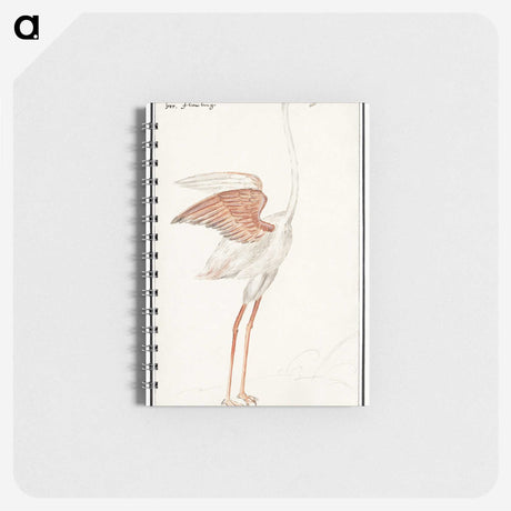 2-50_Anselmus-Boetius-de-Boodt_memo