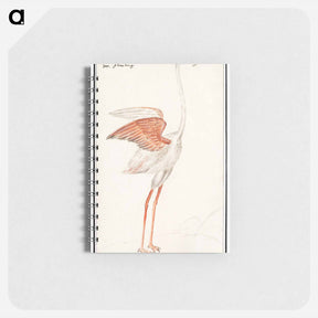 アートメモ帳-Common flamingo - アンセルムス ボエティウス デ ブート Memo.