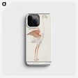 2-50_Anselmus-Boetius-de-Boodt_phone