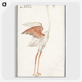 2-50_Anselmus-Boetius-de-Boodt_picture-crop