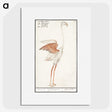 2-50_Anselmus-Boetius-de-Boodt_picture
