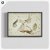 2-50_Antique-Maps_blk-crop