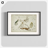 2-50_Antique-Maps_blk
