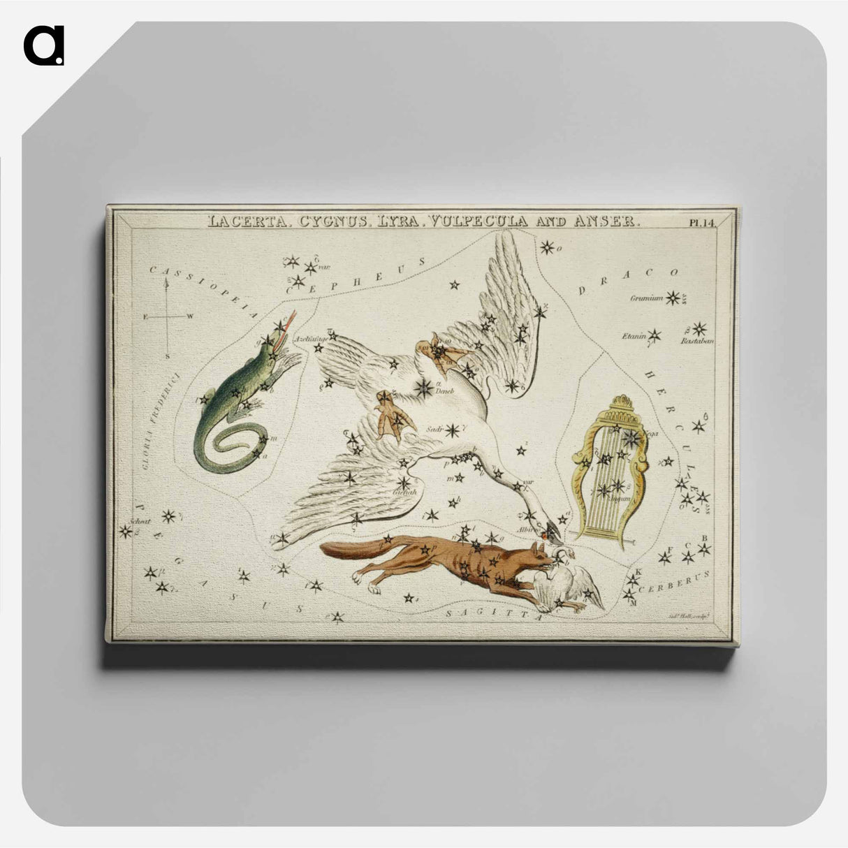 Sidney Hall’s astronomical chart illustration of the Lacerta, Cygnus, Lyra, Vulpecula and the Anser - アンティーク地図 Canvas.