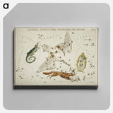 Sidney Hall’s astronomical chart illustration of the Lacerta, Cygnus, Lyra, Vulpecula and the Anser - アンティーク地図 Canvas.