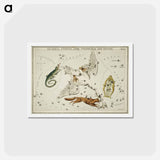 アートポストカード-Sidney Hall’s astronomical chart illustration of the Lacerta, Cygnus, Lyra, Vulpecula and the Anser - アンティーク地図 Postcard.