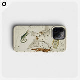 Sidney Hall’s astronomical chart illustration of the Lacerta, Cygnus, Lyra, Vulpecula and the Anser - アンティーク地図 Phone Case.