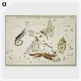 2-50_Antique-Maps_picture-crop