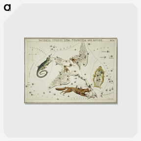 2-50_Antique-Maps_postcard