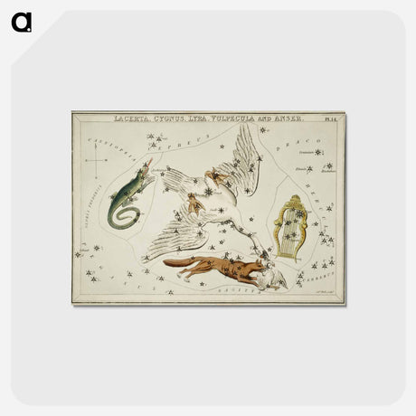 アートポストカード-Sidney Hall’s astronomical chart illustration of the Lacerta, Cygnus, Lyra, Vulpecula and the Anser - アンティーク地図 Postcard.