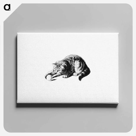 アートパネル-Playful Cat
 - 大英図書館 Canvas.